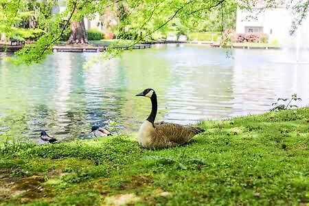 Experience Sacramento With Tranquil Lakeside Views Kültér fotó